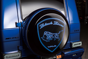 SPARE TIRE COVER