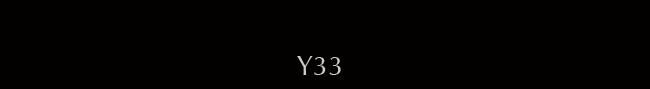 Y33