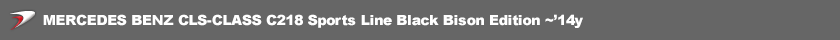 MERCEDES BENZ CLS-CLASS C218 BLACK BISON EDITION