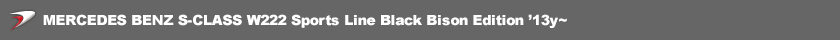 Mercedes Benz S-class W222 SPORTS LINE BLACK BISON EDITION