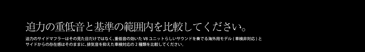 ヴァルド サイドマフラー LX/ランドクルーザー用オーバル117/W x 2