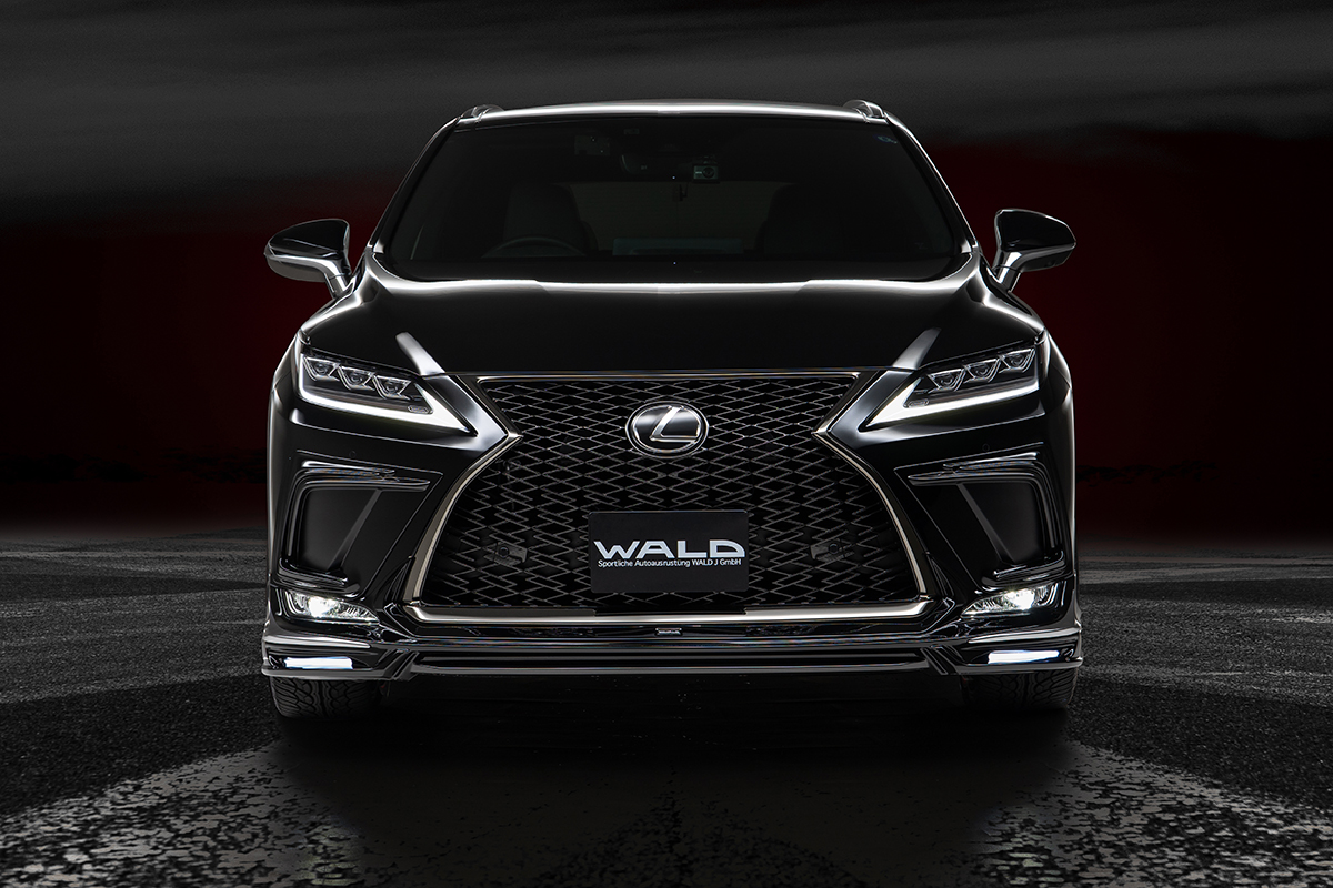 WALD HARRIER 2017y~ SPORTS LINE