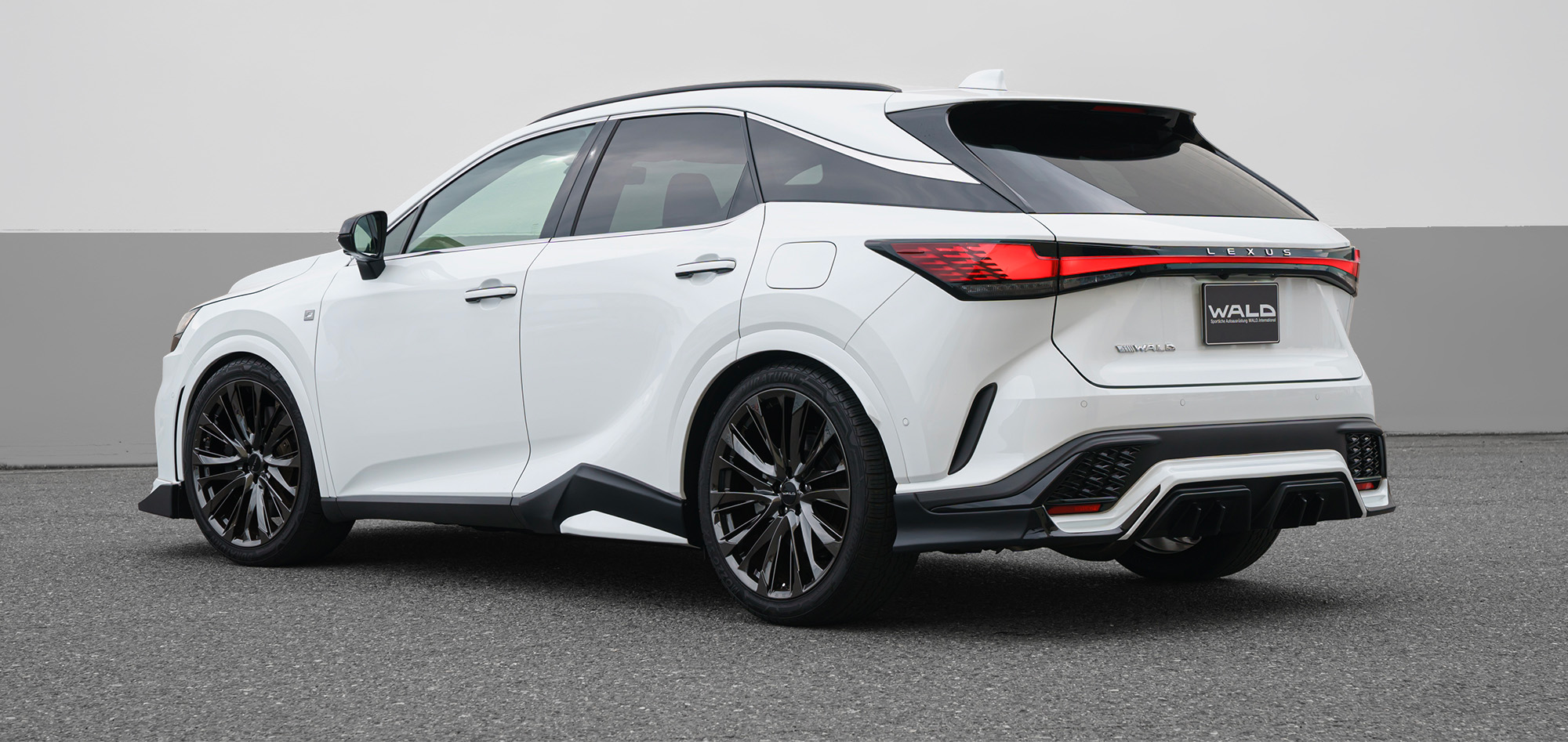 GENUINE LINE FS-001 22inch : RX F-SPORT SPORTS LINE