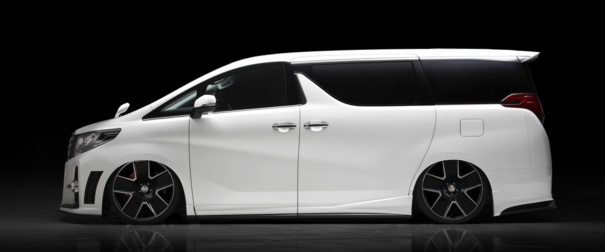 WALD 30 ALPHARD SPORTS LINE ALL GRADE BUMPER TYPE