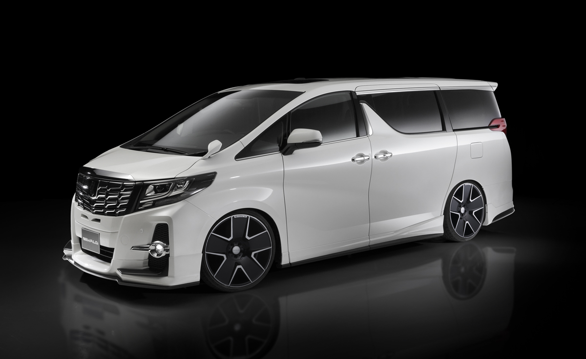 WALD 30ALPHARD BUMPER TYPE SPORTS LINE