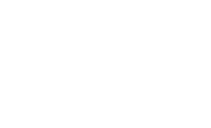 WALD OVER FENDER for MODELLISTA LANDCRUISER ZX