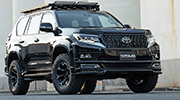 gdj15 SPORTS LINE BLACK BISON EDITION