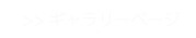 ギャラリーページはこちら