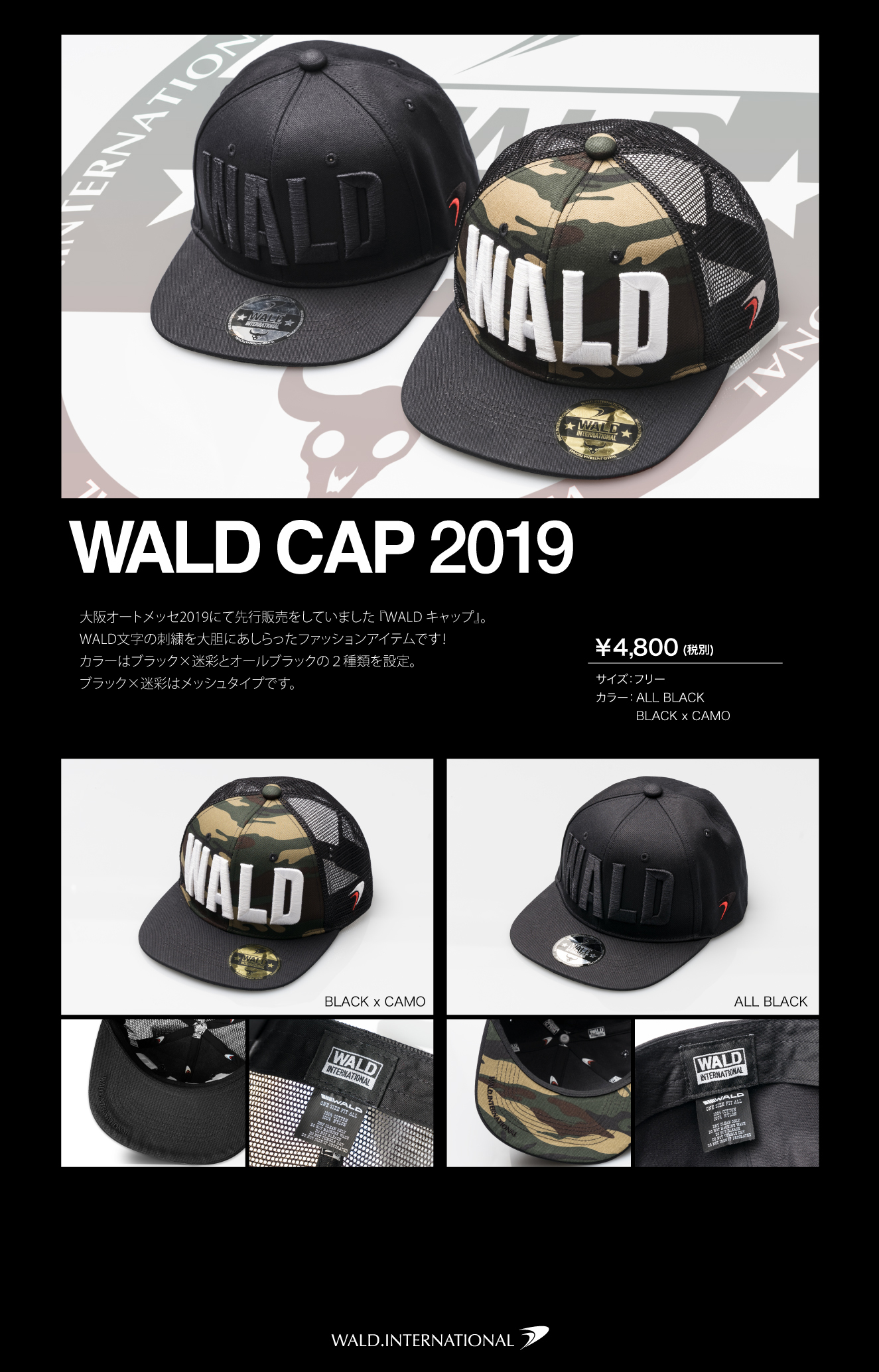 WALD CAP2019